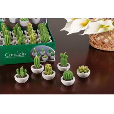 AdTrend Plant Candle with Vase 2